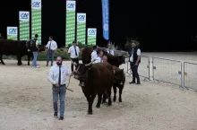 SOMMET DE L‘ÉLEVAGE 2025 francuskie święto hodowców już w październiku!