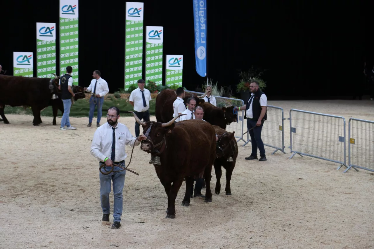 SOMMET DE L‘ÉLEVAGE 2025 francuskie święto hodowców już w październiku!