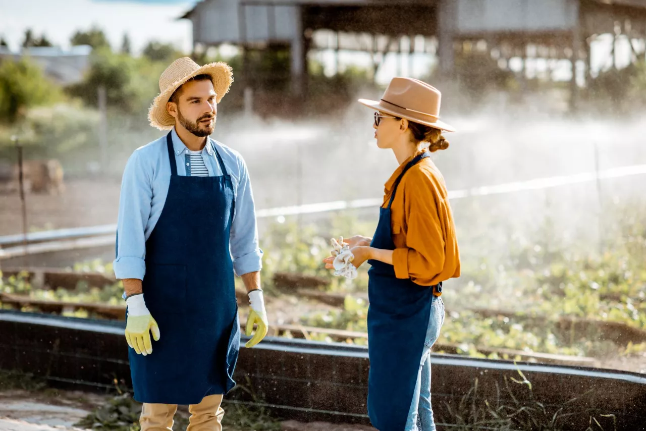 Podział gospodarstwa a konkubinat: bez formalności – więcej niedogodności? 