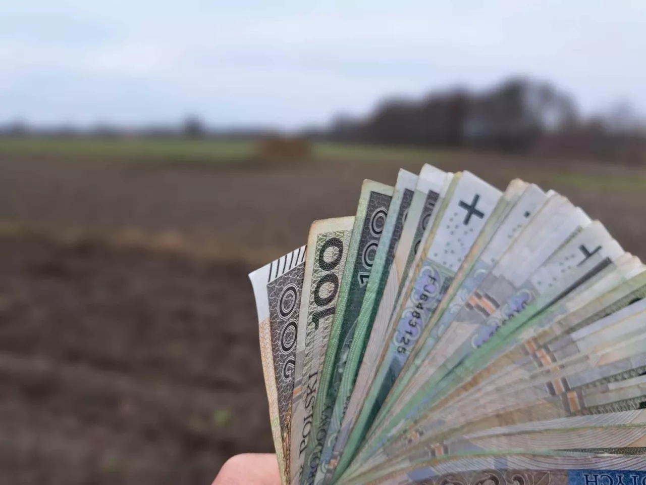 Stawka odsetek za zwłokę w KRUS: jakie kwoty obowiązują od września 2025?