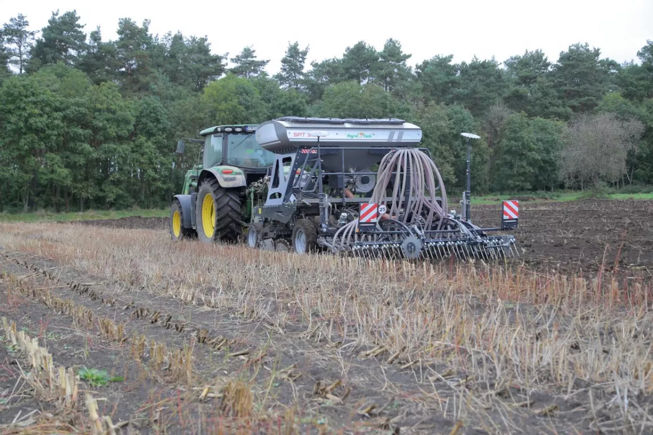 Siew zboża ozimego w technologii uproszczonej. Praca siewnika pasowego na ściernisku po rzepaku.