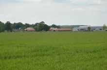 Dochód z 1 ha przeliczeniowego bardzo wysoki mimo kryzysu