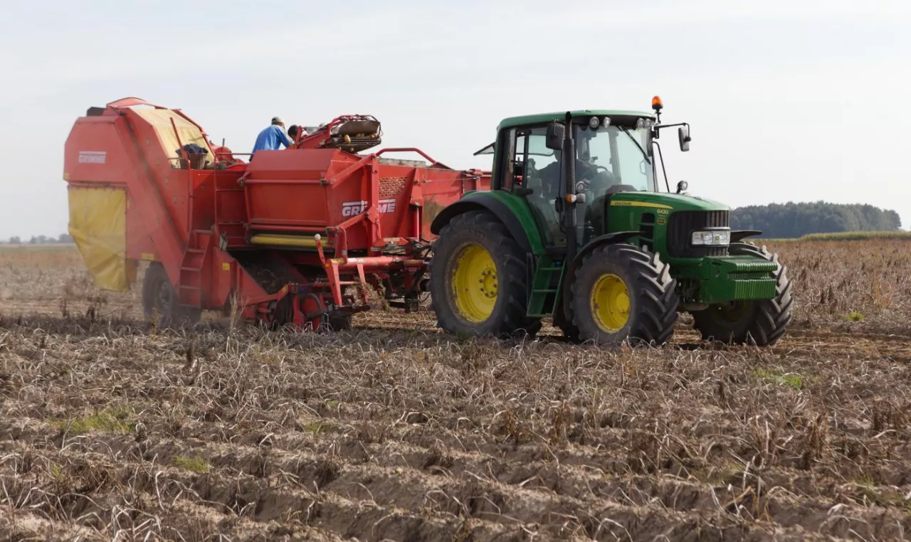 Zbiór ziemniaków na polu. Traktor z maszyną rolniczą podczas prac w gospodarstwie.