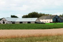 gospodarstwo budynki