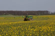 Ciągnik z opryskiwaczem polowym podczas opryskiwania rzepaku w fazie początku kwitnienia. Rozległe pole rzepaku, maszyna rolnicza w centrum kadru, w tle linia drzew.