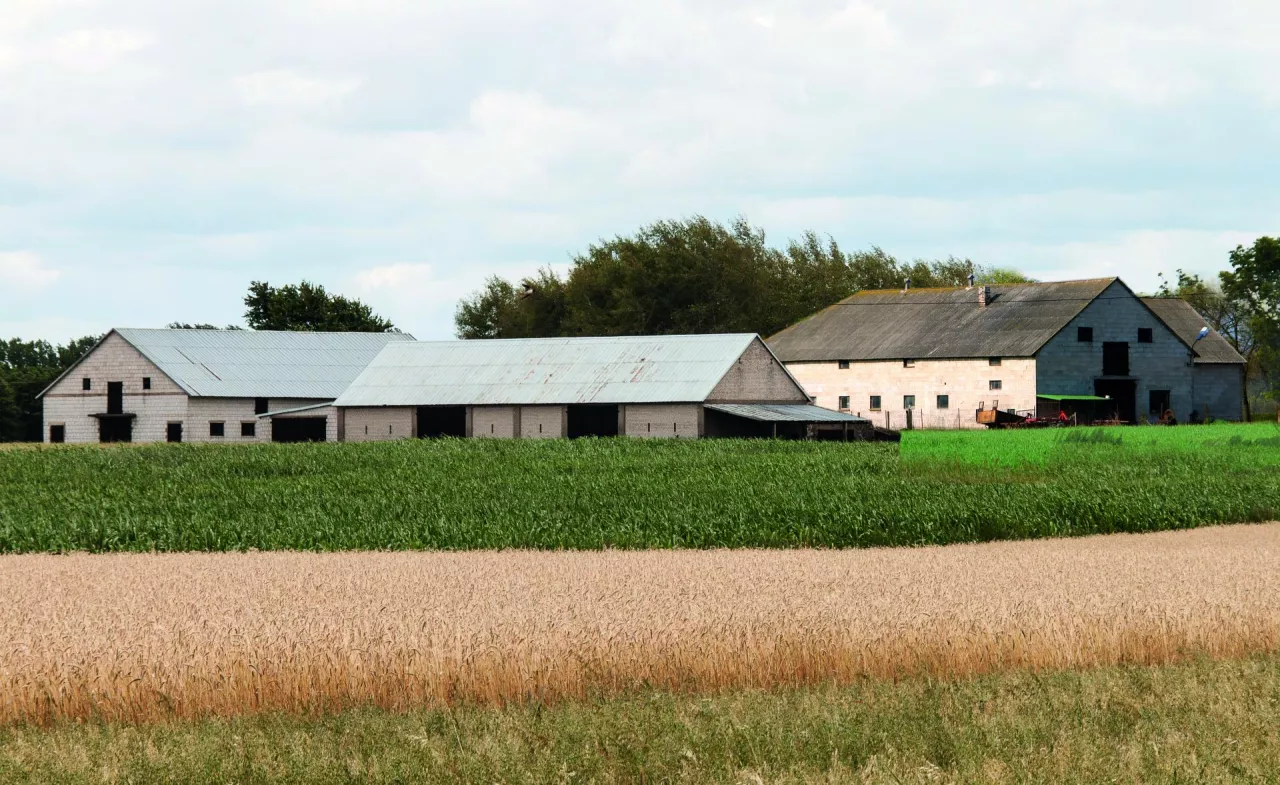 gospodarstwo budynki