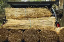 Zgłaszanie odpadów do kompostowania biomasy przez rolnika 