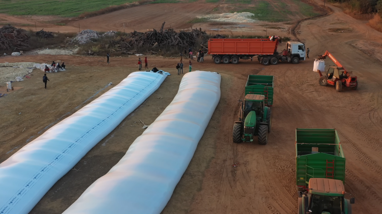 Polscy rolnicy, prowadzący gospodarstwo rolne w Zambii, magazynują kukurydzę w rękawach foliowych