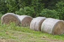 siatka rolnicza utylizacja