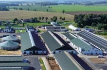 okładka top bydło 10