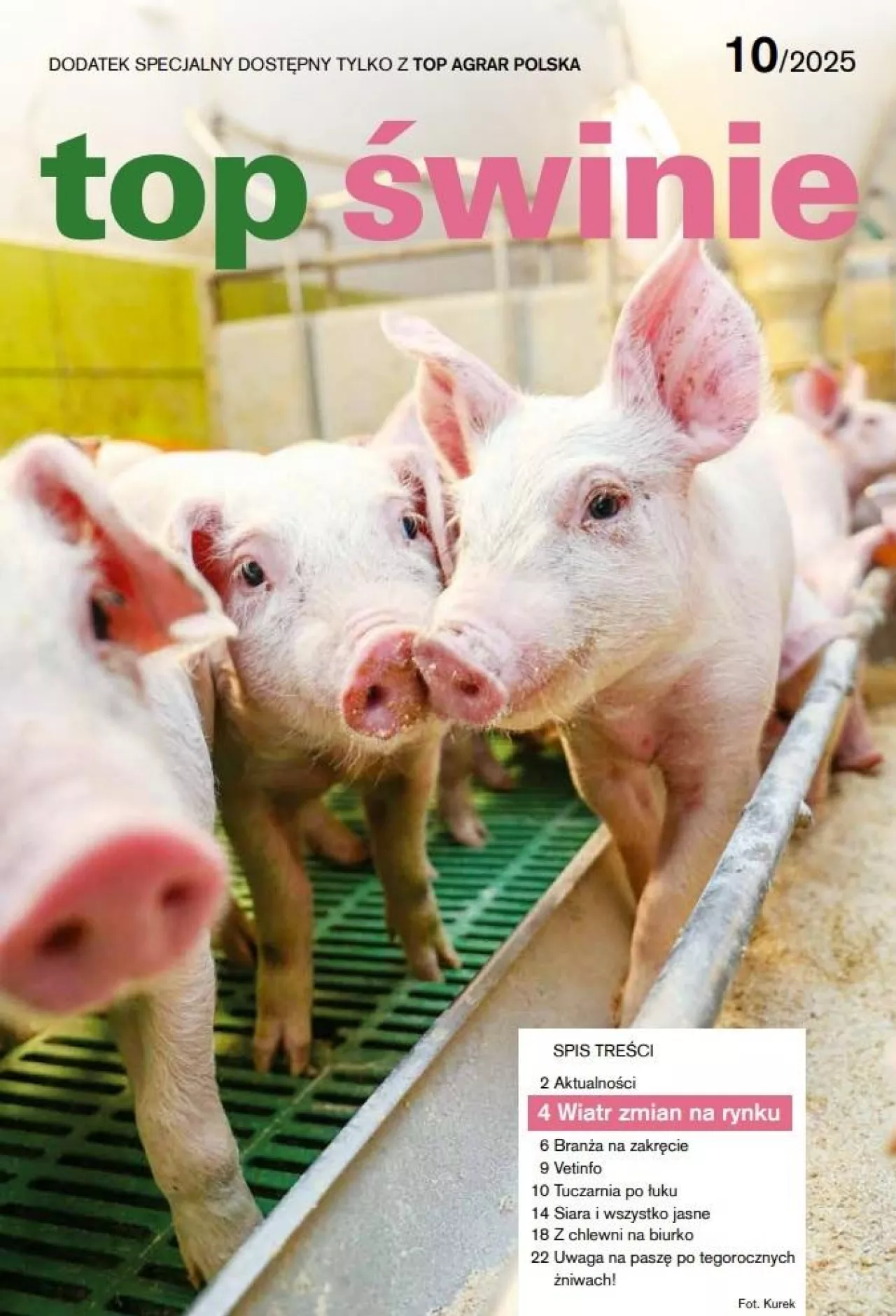 Okładka top świnie 10