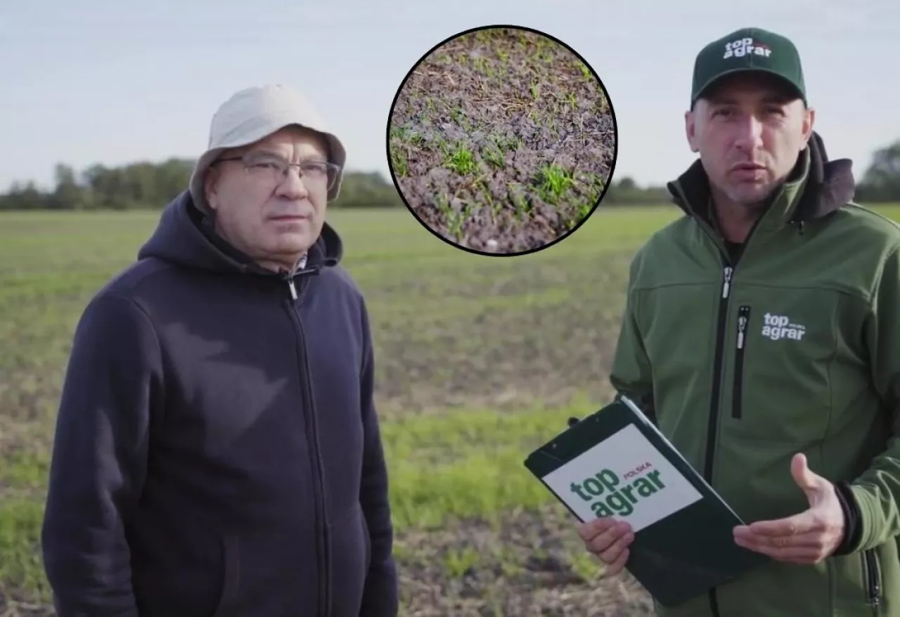 top agrar pogotowie polowe