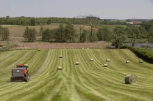 Zarząd przymusowy nad gospodarstwem rolnym: w jakich sytuacjach się przydaje?
