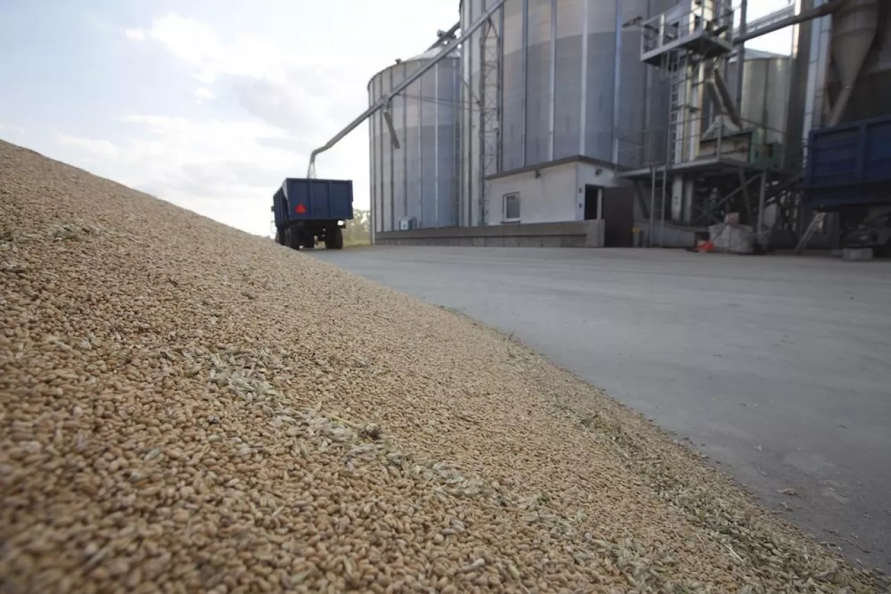 Zboże, pryzma, elewator i załadunek