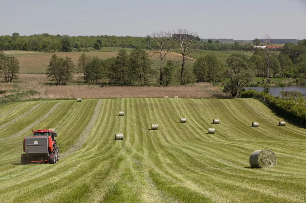 Zarząd przymusowy nad gospodarstwem rolnym: w jakich sytuacjach się przydaje?