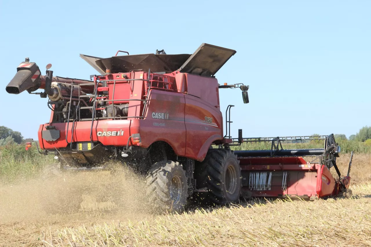 30 września Główny Urząd Statystyczny przedstawił wstępne szacunki produkcji głównych upraw rolnych w 2025 r.