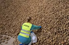 Inspektorzy wchodzą na pola rolników. Co sprawdzają?