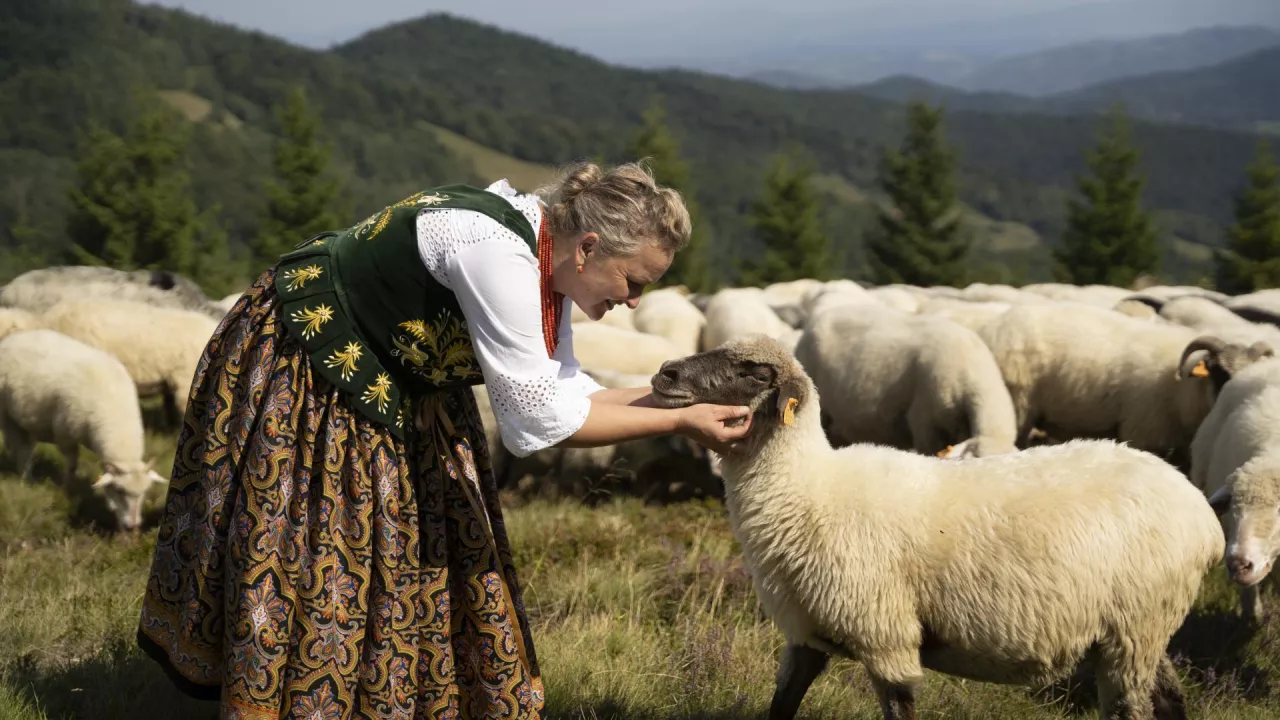 Małgorzata Buczek Kobieta juhas i baca bacówka