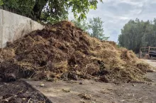 Obornik, obornik na polu, składowanie obornika