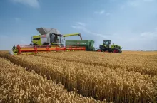 Kombajn Claas Lexion 8700 podczas zbioru zbóż