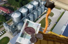 Ceny skupu kukurydzy oferowane rolnikom mogą być znacznie niższe od tego, co było w ubiegłym roku