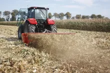 mulczowanie ścierniska kukurydza