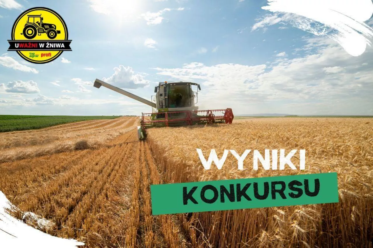 wyniki konkursu