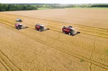 Trzy kombajny zbierające pszenicę na rozległym polu. Rada Unii Europejskiej zatwierdziła umowę handlową z Ukrainą, otwierając unijny rynek na produkty rolne.