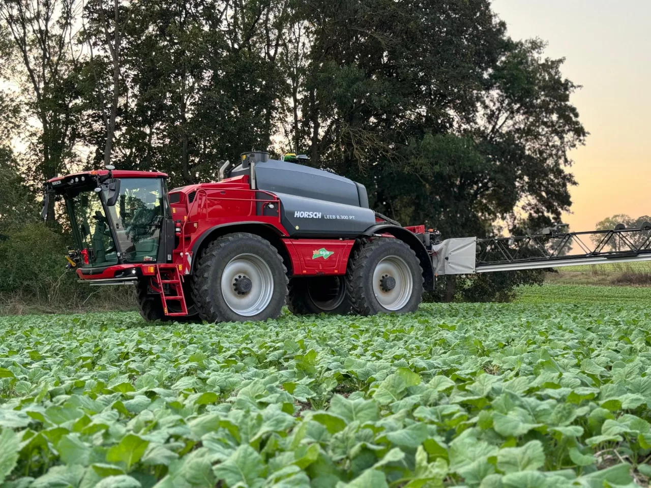 Opryskiwacz samojezdny Horsch Leeb 8.300 PT na polu w uprawie