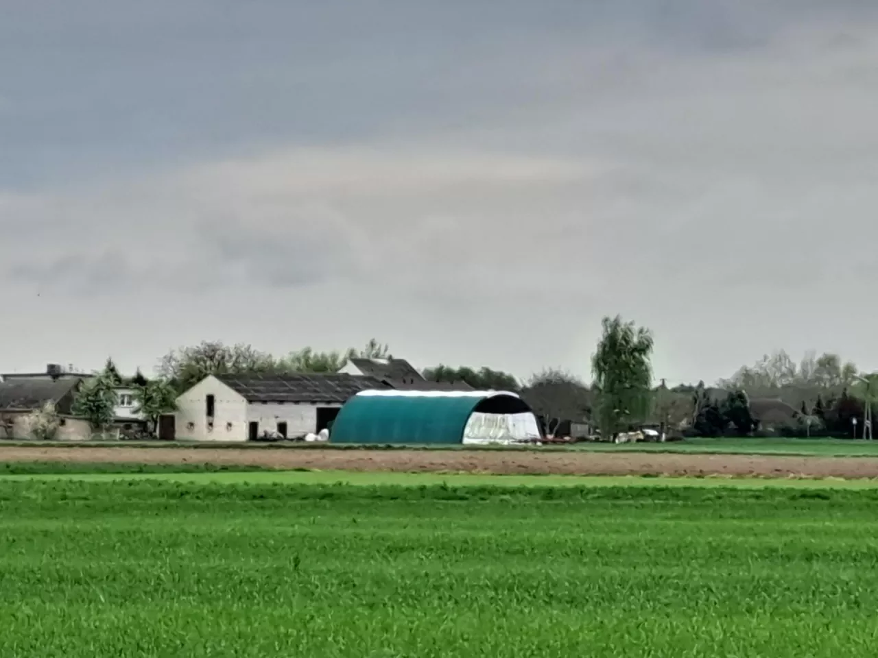 Dwa hektary w sporze. Kiedy rolnik może nabyć ziemię przez zasiedzenie?