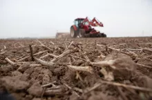 Uprawa ścierniska po rzepaku