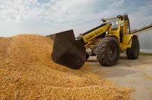 Kukurydza mokra i ładowarka