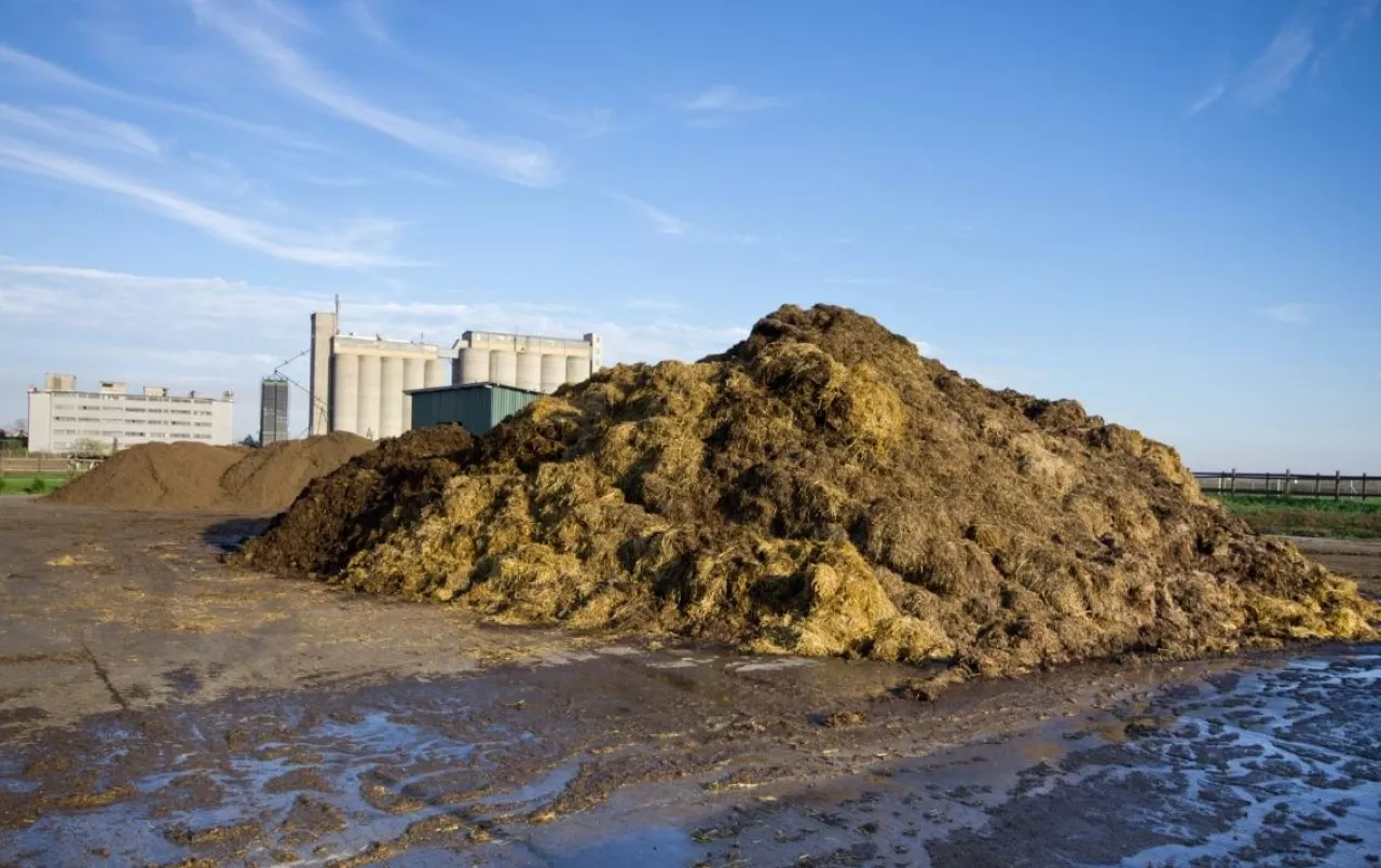 Płyta obornikowa, obornik