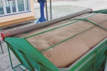 pszenica w przyczepie rolniczej