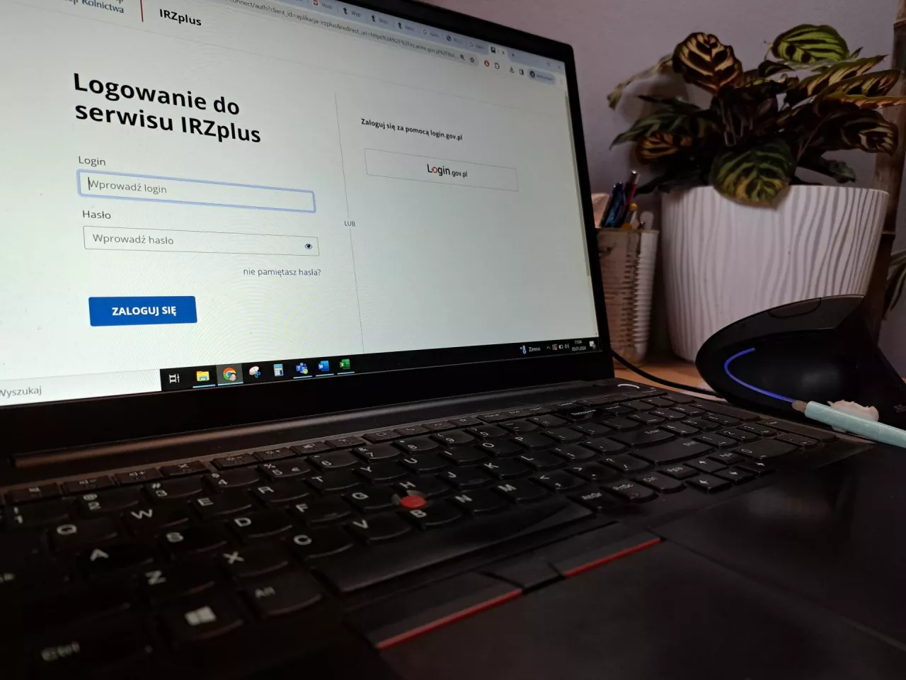 Konieczna jest aktualizacja danych w IRZ Plus