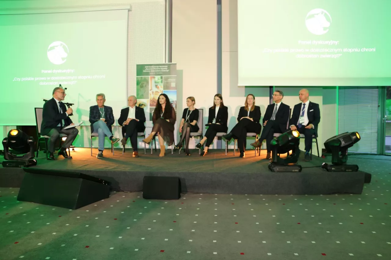 dobrostan Toruń 2025