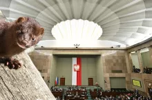 Za wprowadzeniem zakazu głosowało 339 parlamentarzystów, a 79 było przeciw. W tej sytuacji jest duże prawdopodobieństwo, że prezydent podpisze ustawę