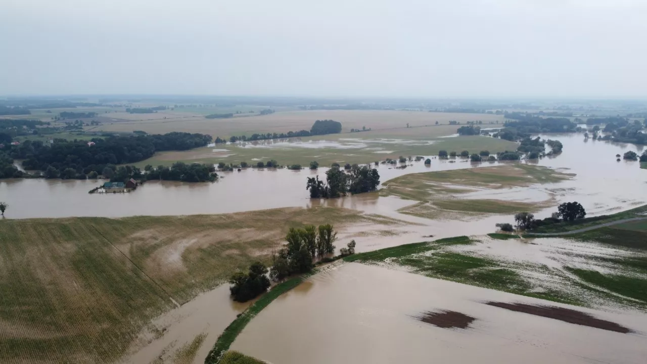 powódź, zalane pole