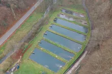 Stawy od KOWR – możliwości zakupu i dzierżawy dla rolników i hodowców