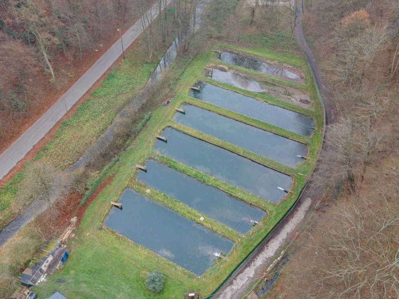 Stawy od KOWR – możliwości zakupu i dzierżawy dla rolników i hodowców