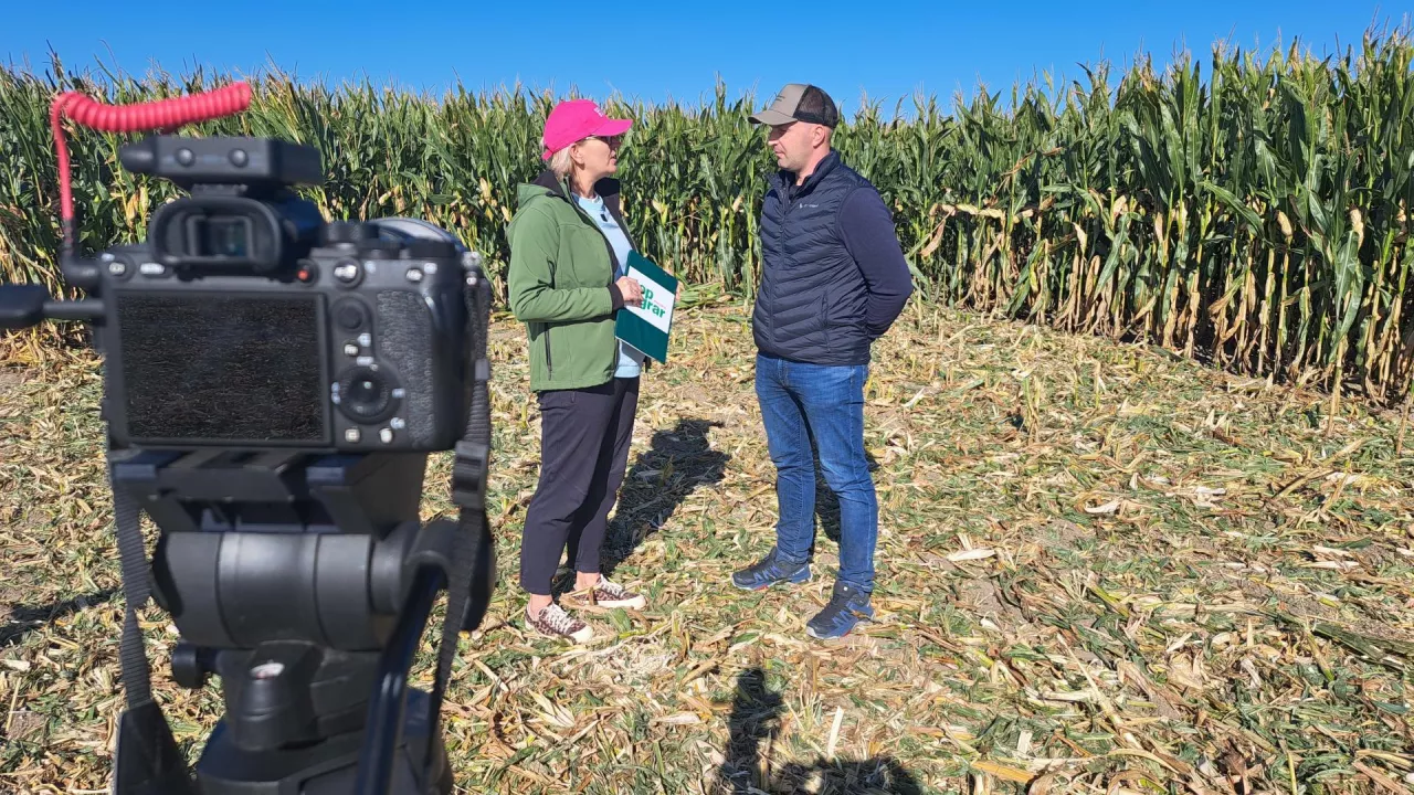 Syngenta firmy radzą 2025