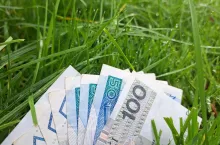 pieniądze, zaliczki, dopłaty, gotówka