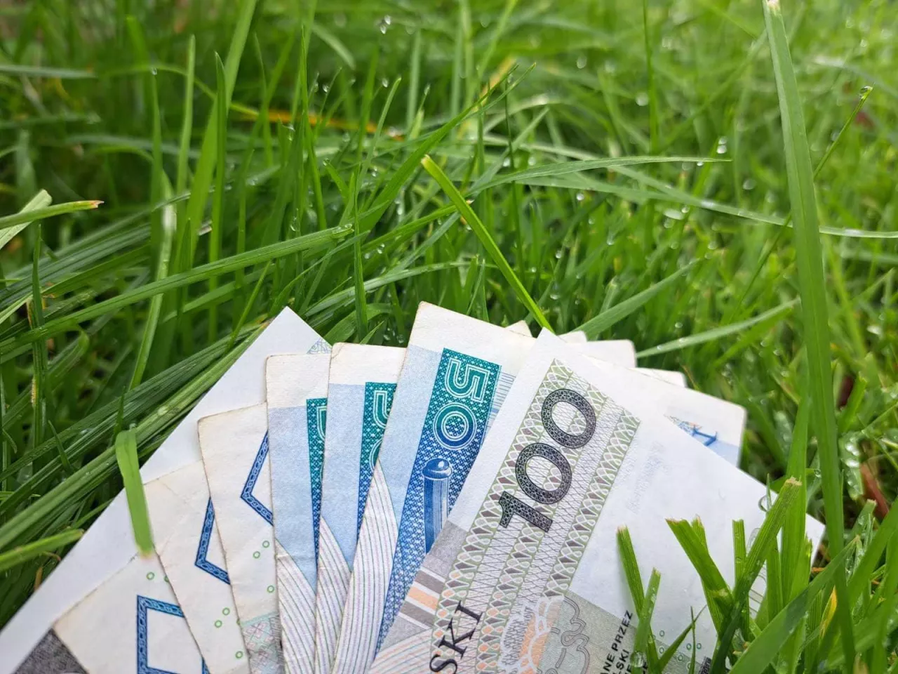 pieniądze, zaliczki, dopłaty, gotówka