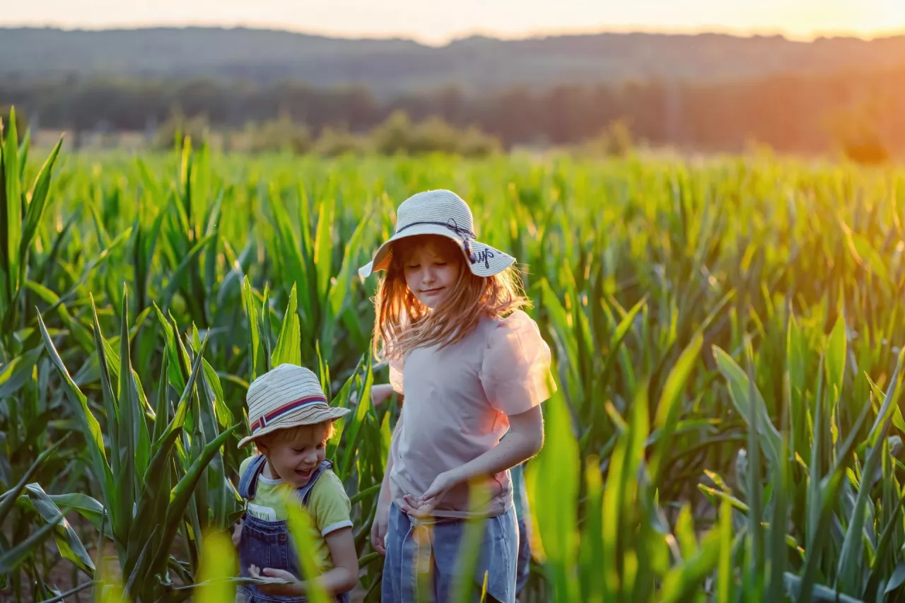 Jak działa ubezpieczenie dzieci w KRUS?