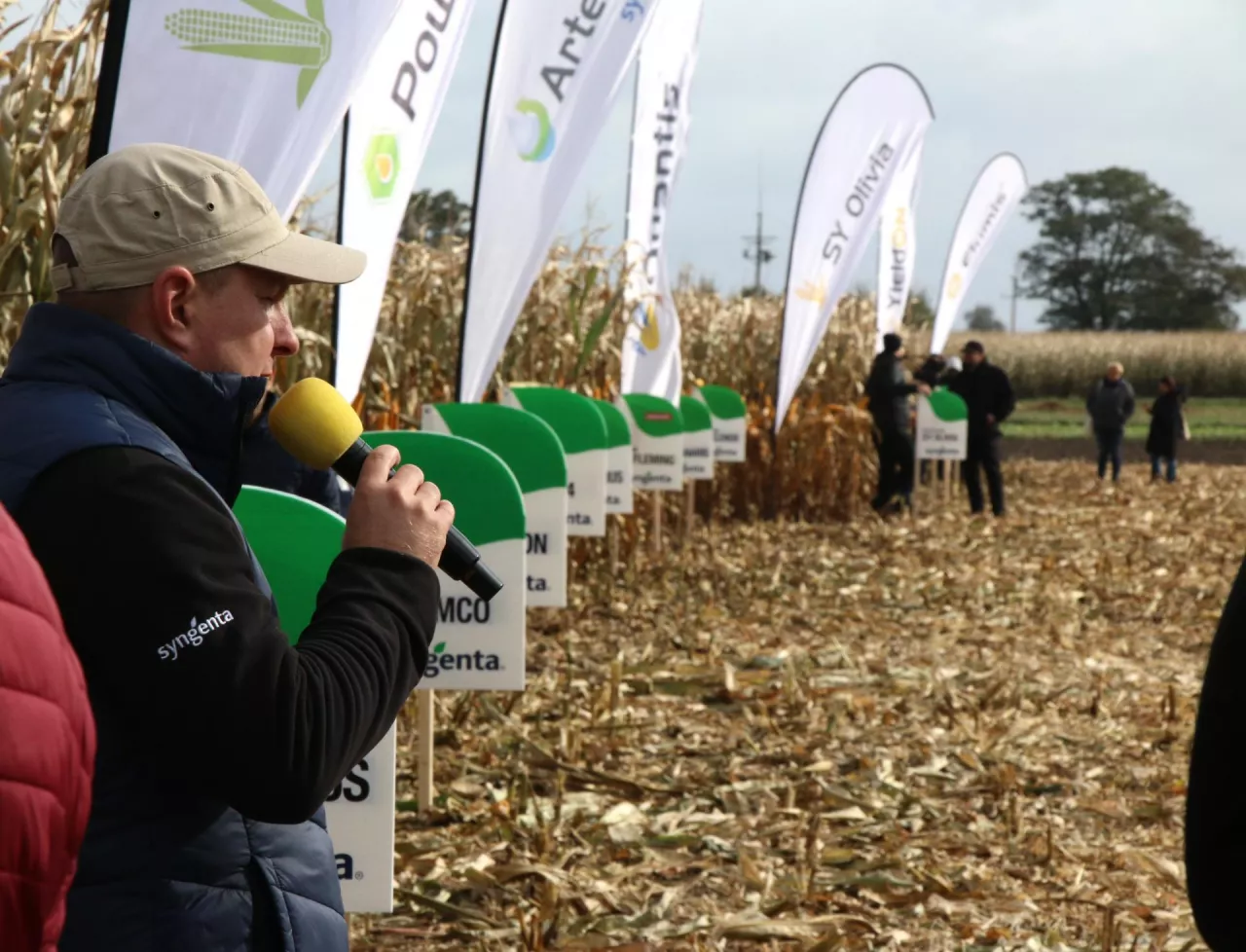 Syngenta 2025 odmiany