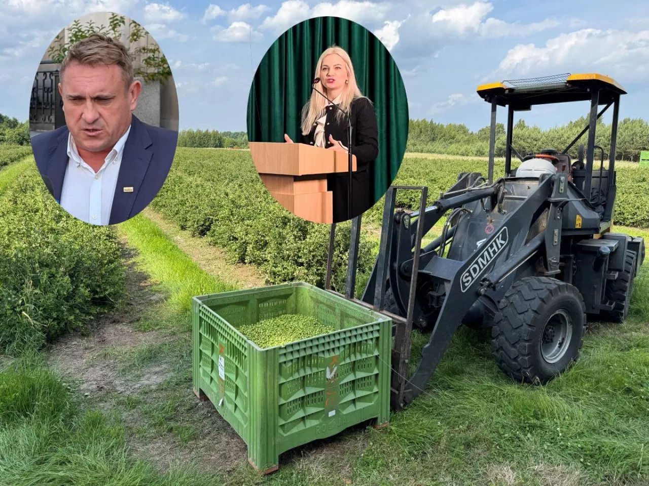 Tomasz Obszański, Małgorzata Gromadzka, owoce miękkie, agrest, rolnictwo, restrukturyzacja, zatory płatnicze