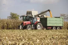 początek koszenia kukurydzy