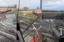 Żuławy, zalane pola, zbiory kukurydzy