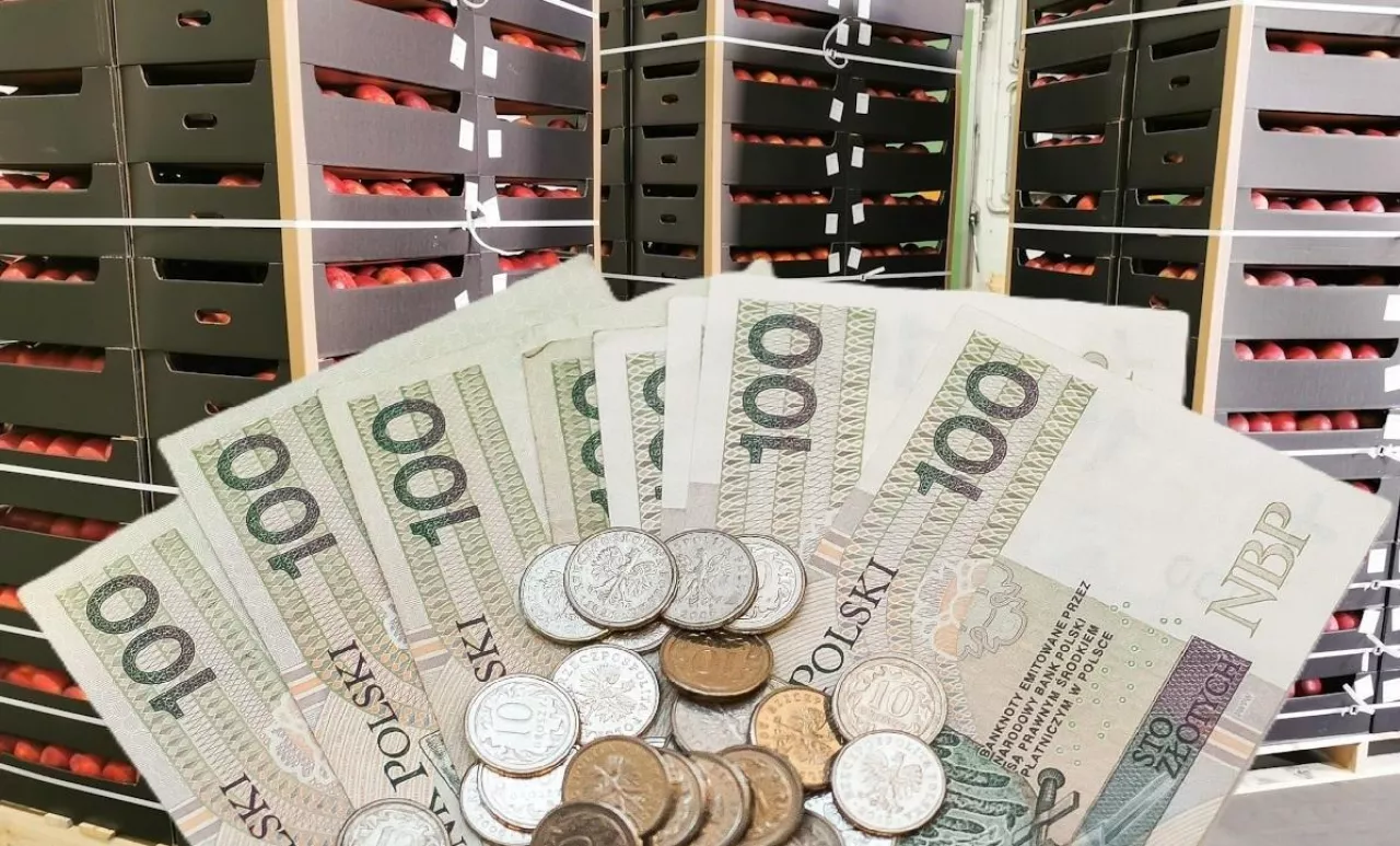 Wartość eksportu towarów rolno-spożywczych z Polski wyniosła ponad 160 mld zł