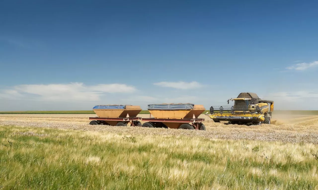 Kombajn podczas żniw na polu
